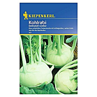 Kiepenkerl Gemüsesamen Kohlrabi Delikateß (Brassica oleracea var. gongylodes, Erntezeit: Juni)