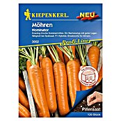 Kiepenkerl Profi-Line Gemüsesamen Möhre (Nominator - Pillensaat, Daucus carota, Erntezeit: Juli) | BAUHAUS