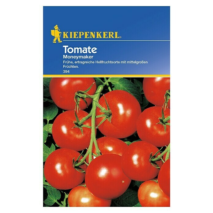 Kiepenkerl Gemüsesamen Tomate (Moneymaker, Solanum lycopersicum, Erntezeit: Juli) | BAUHAUS