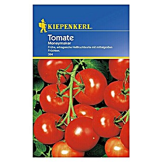 Kiepenkerl Gemüsesamen Tomate (Moneymaker, Solanum lycopersicum, Erntezeit: Juli)