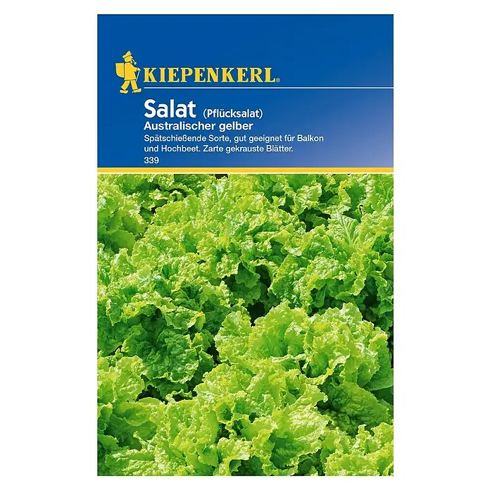 Kiepenkerl Salatsamen Pflücksalat Australischer gelber - Lactuca sativa, Erntezeit: April - Das Bild zeigt eine Samenpackung Kiepenkerl Salat "Australischer gelber", eine spät schießende Sorte mit zarten, gekrausten Blättern.