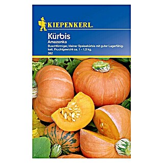 Kiepenkerl Gemüsesamen Kürbis (Cucurbita pepo, Erntezeit: August)