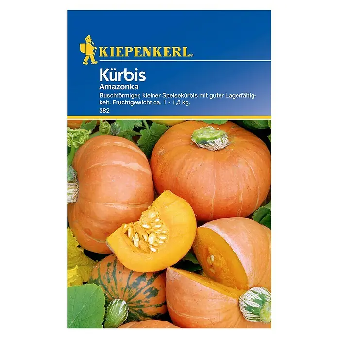 Kiepenkerl Gemüsesamen Kürbis - Cucurbita pepo, Erntezeit: August - Kürbis 'Amazonka' Samenpackung. Buschförmiger, kleiner Speisekürbis mit guter Lagerfähigkeit. Fruchtgewicht ca. 1 - 1,5 kg.