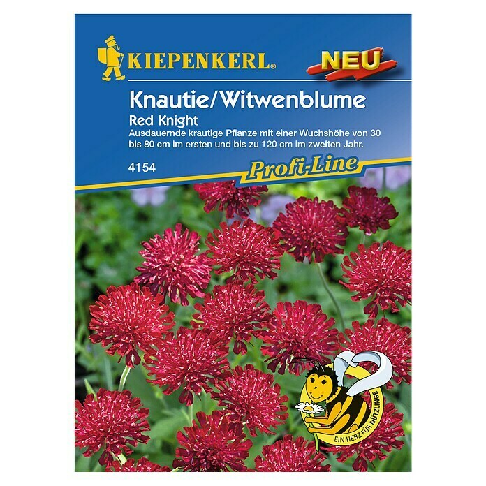 Kiepenkerl Profi-Line Blumensamen Knautie / Witwenblume (Knautia macedonica, Rot) | BAUHAUS