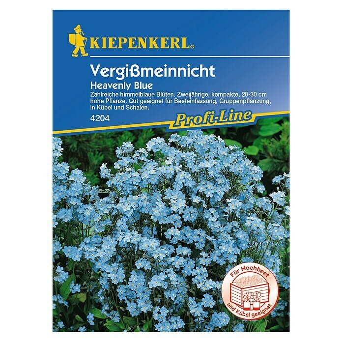 Kiepenkerl Profi-Line Blumensamen Vergissmeinnicht (Myosotis sylvatica, Blau) | BAUHAUS