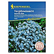 Kiepenkerl Profi-Line Blumensamen Vergissmeinnicht (Myosotis sylvatica, Blau) | BAUHAUS