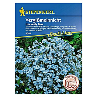 Kiepenkerl Profi-Line Blumensamen Vergissmeinnicht (Myosotis sylvatica, Blau)