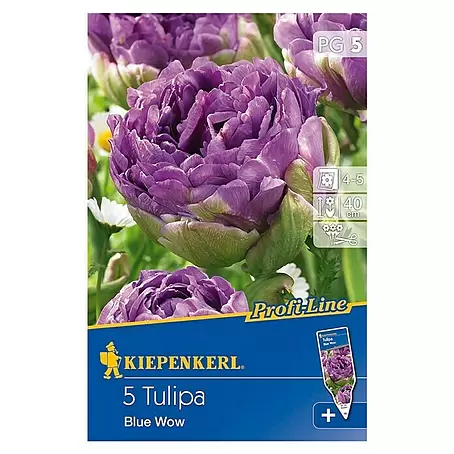 Kiepenkerl Profi-Line Frühlingsblumenzwiebeln