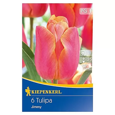 Kiepenkerl  Frühlingsblumenzwiebeln