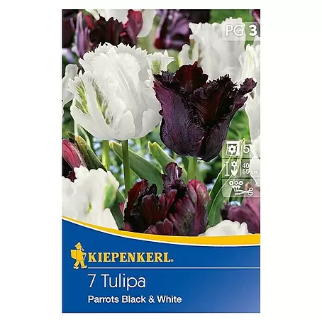 Kiepenkerl  Frühlingsblumenzwiebel-Mix