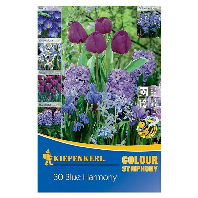 KIEPENKERL Blumenmischung 'Colour Symphony Blue Harmony'