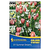 Kiepenkerl Frühlingsblumenzwiebel-Mix Summer Dreams (Arten-Mischung, 21 Stk.) | BAUHAUS