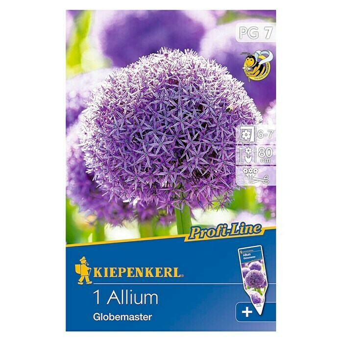 Kiepenkerl Bulbi di fiori primaverili aglio ornamentale Globemaster