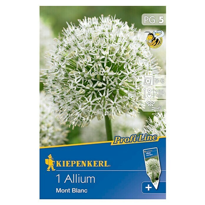 Kiepenkerl Bulbi di fiori primaverili aglio ornamentale 
