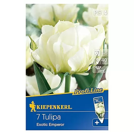 Kiepenkerl Profi-Line Frühlingsblumenzwiebeln