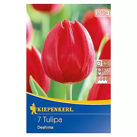 Kiepenkerl  Frühlingsblumenzwiebeln