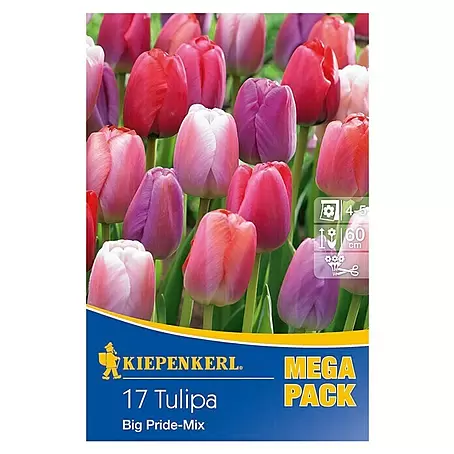 Kiepenkerl  Frühlingsblumenzwiebeln Mega-Pack