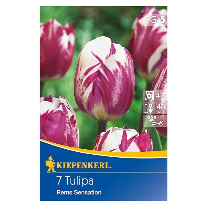 TULPE REMS SENSATION