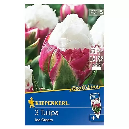 Kiepenkerl Profi-Line Frühlingsblumenzwiebeln Tulpe