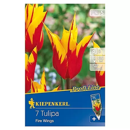 Kiepenkerl Profi-Line Frühlingsblumenzwiebeln