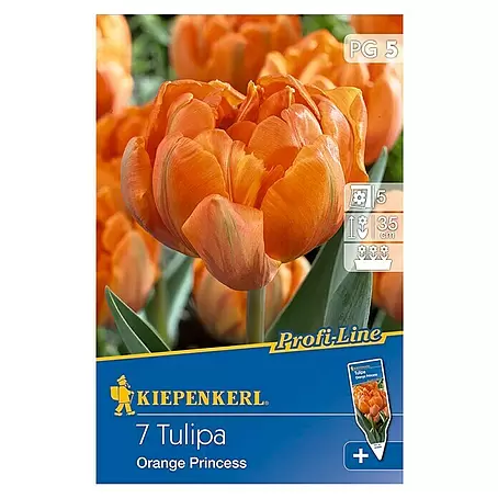 Kiepenkerl Profi-Line Frühlingsblumenzwiebeln