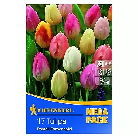 Kiepenkerl  Frühlingsblumenzwiebeln Mega-Pack