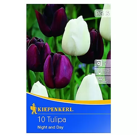 Kiepenkerl  Frühlingsblumenzwiebel-Mix