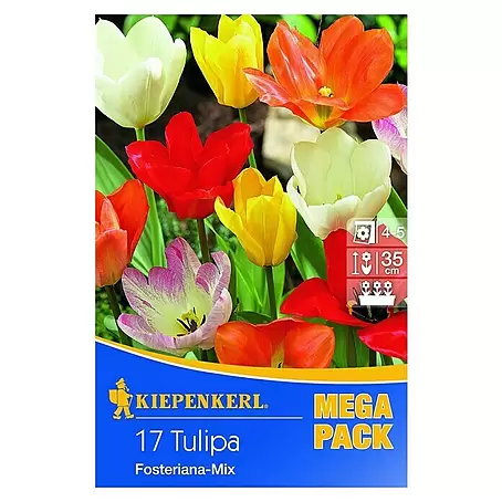 Kiepenkerl  Frühlingsblumenzwiebeln Mega-Pack