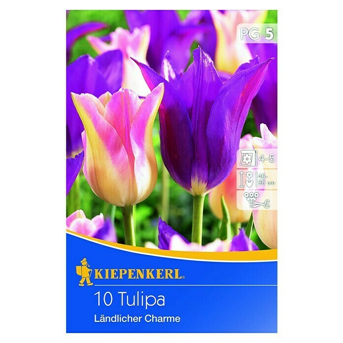 Kiepenkerl Frühlingsblumenzwiebel-MixTulipa 'Ländlicher Charme', 10 Stk. Front View