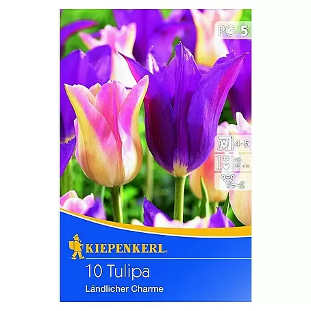 Kiepenkerl  Frühlingsblumenzwiebel-Mix