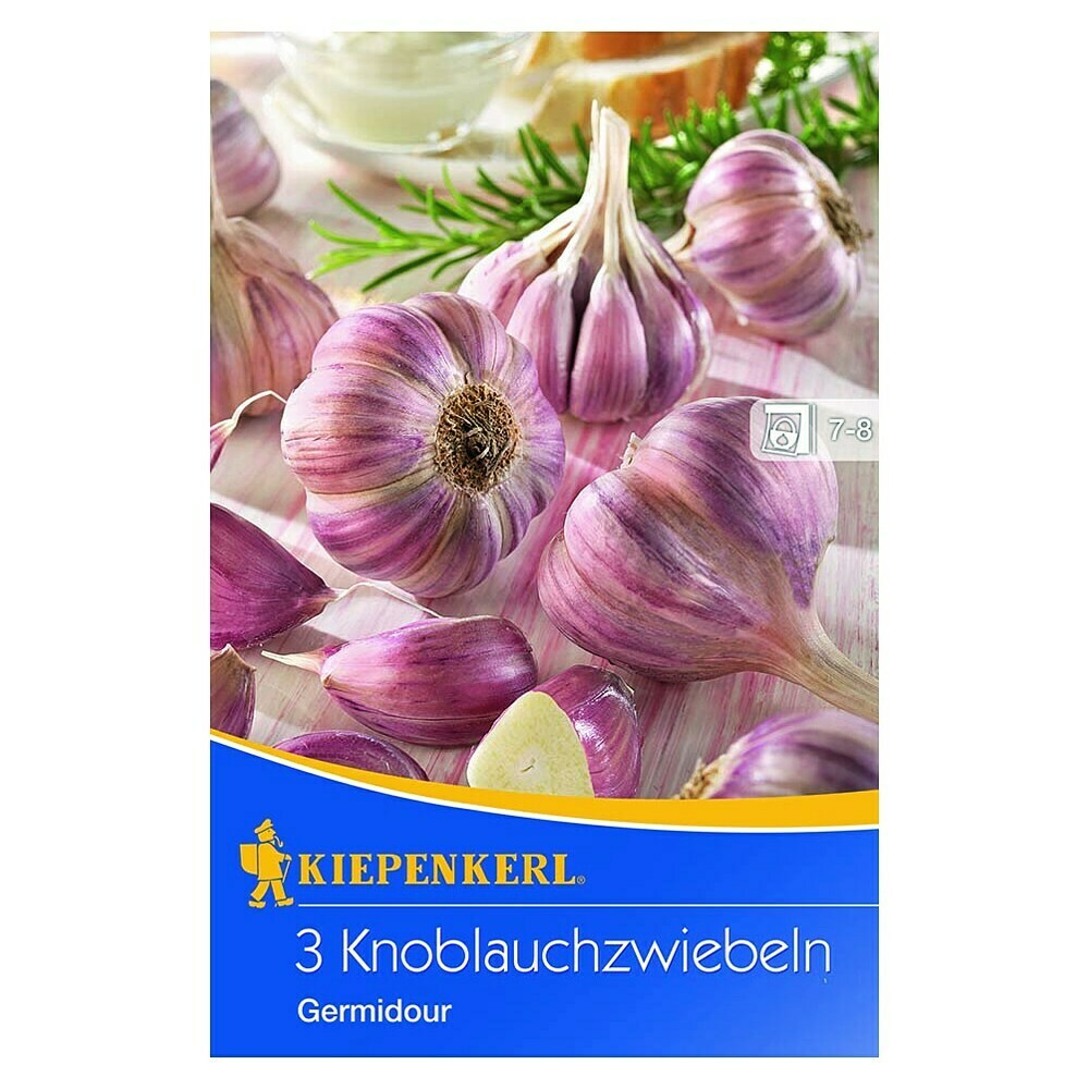 Russischer Riesenknoblauch Allium Sativum Kaufen