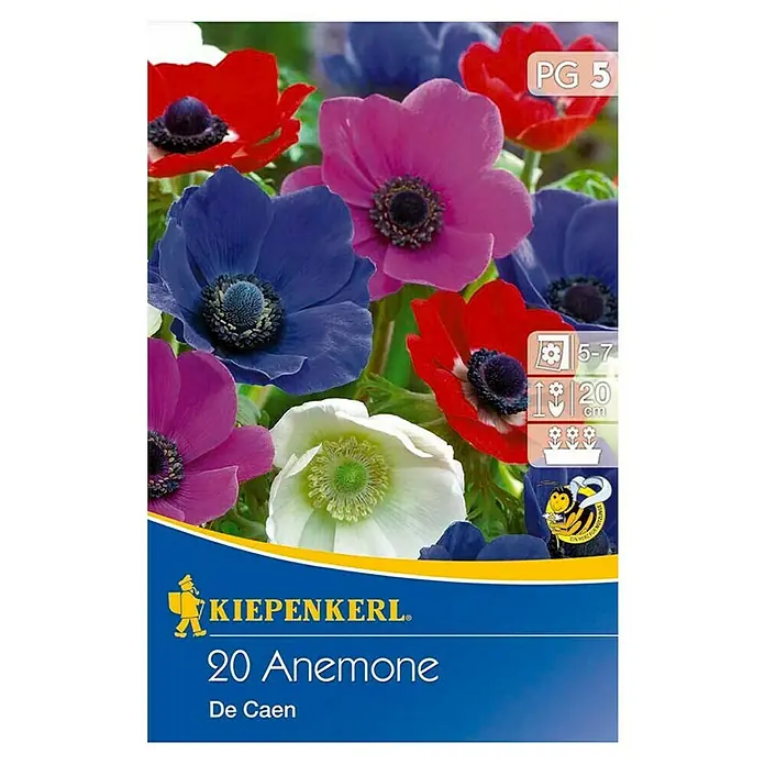 Kiepenkerl Blumenzwiebeln Kronen-Anemonen - Anemone coronaria, 20 Stk. - Das Bild zeigt eine Packung mit 20 Anemonen De Caen Blumenzwiebeln, mit einem bunten Blumenmuster auf der Verpackung.