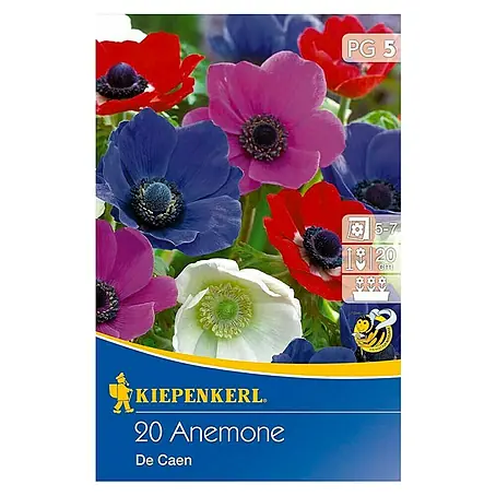 Kiepenkerl  Blumenzwiebeln Kronen-Anemonen