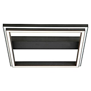 LED-Wand- & Deckenleuchte Pallas (38 W, L x B x H: 500 x 500 x 75 mm, Schwarz, Warmweiß)