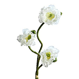 Kunstblume Mohnbund (Creme, 72 cm)