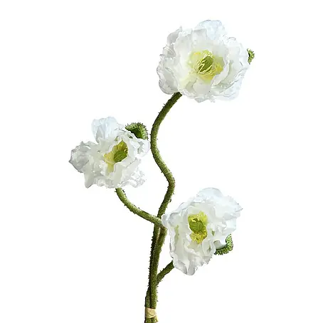 Kunstblume Mohnbund