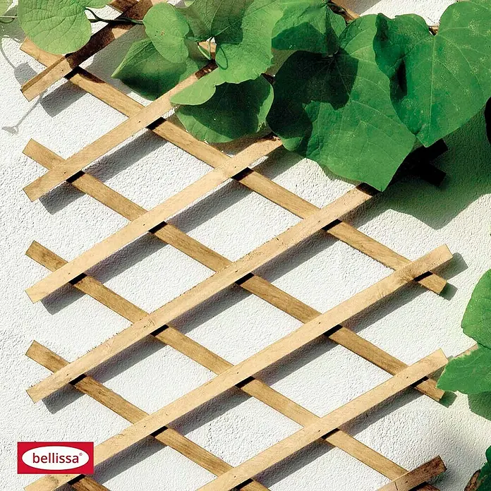 Bellissa Holz-Scherenspalier - 270 x 45 cm, Natur - Das Bild zeigt ein hölzernes Rankgitter von Bellissa an einer weißen Wand, teilweise von grünen Blättern bedeckt, ideal für Kletterpflanzen im Garten.