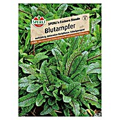 Sperli Salatsamen Blutampfer (Rumex sanguineus, Erntezeit: Mai) | BAUHAUS