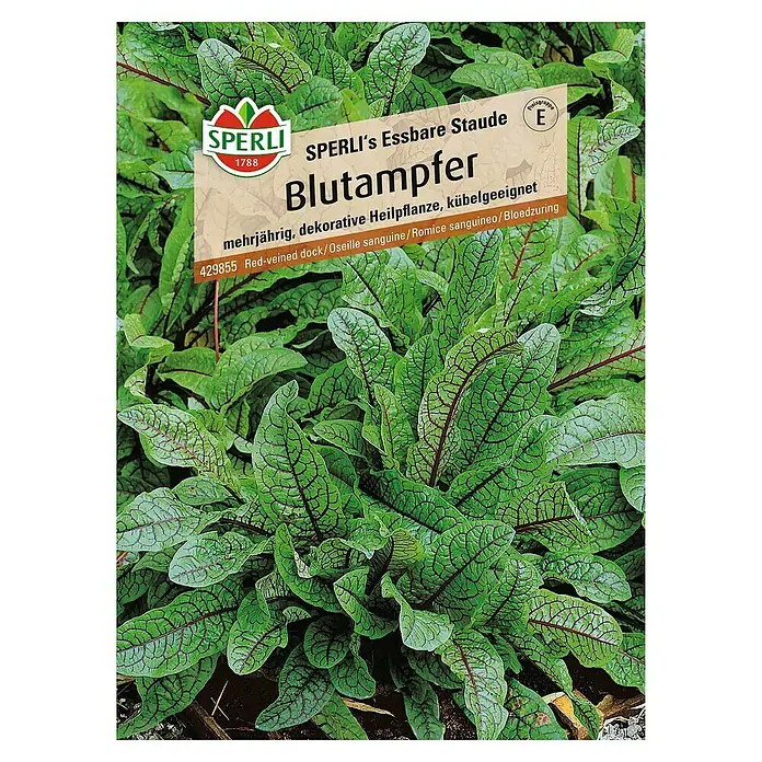 Sperli Salatsamen Blutampfer - Rumex sanguineus, Erntezeit: Mai - Bild einer Samenpackung 'Blutampfer' von Sperli, einer mehrjährigen, dekorativen und essbaren Staude.