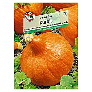 Sperli Gemüsesamen Kürbis (Uchiki Kuri, Cucurbita maxima, Erntezeit: September)