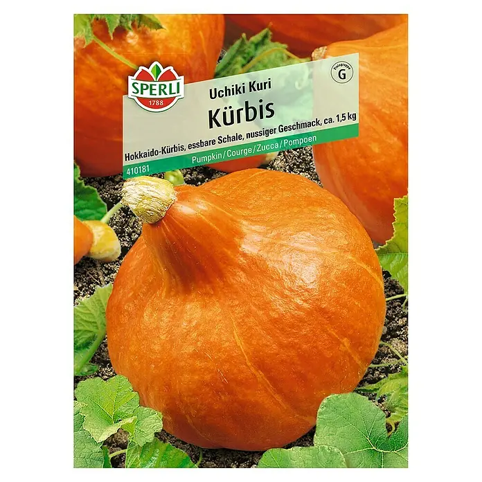 Sperli Gemüsesamen Kürbis - Uchiki Kuri, Cucurbita maxima, Erntezeit: September - Hokkaido-Kürbis 'Uchiki Kuri' mit oranger Schale und grünen Blättern, ideal für Suppen und Aufläufe.