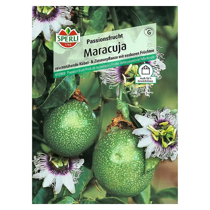 Sperli Obstsamen Maracuja - Passiflora edulis, Erntezeit: August - Bild einer Passionsfrucht Maracuja-Pflanze mit Früchten und Blüten.