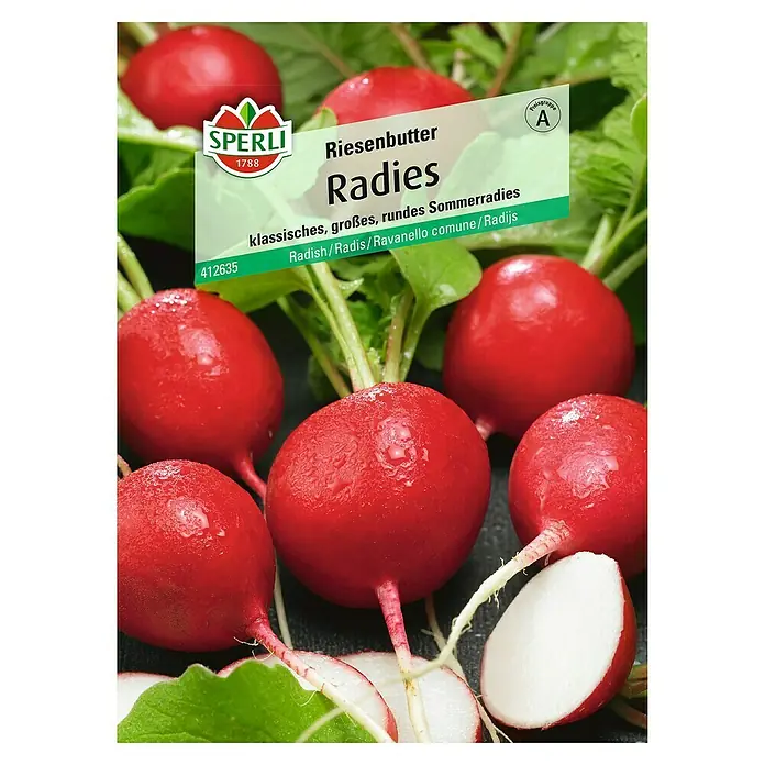 Sperli Gemüsesamen Radies - Riesenbutter, Raphanus sativus, Erntezeit: Juli - Das Bild zeigt eine Packung Riesengoldbutter-Radieschen Samen.