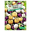 RADIES-KOMBI. III   ZLATA, VIOLA, ALBENA 5m BAND