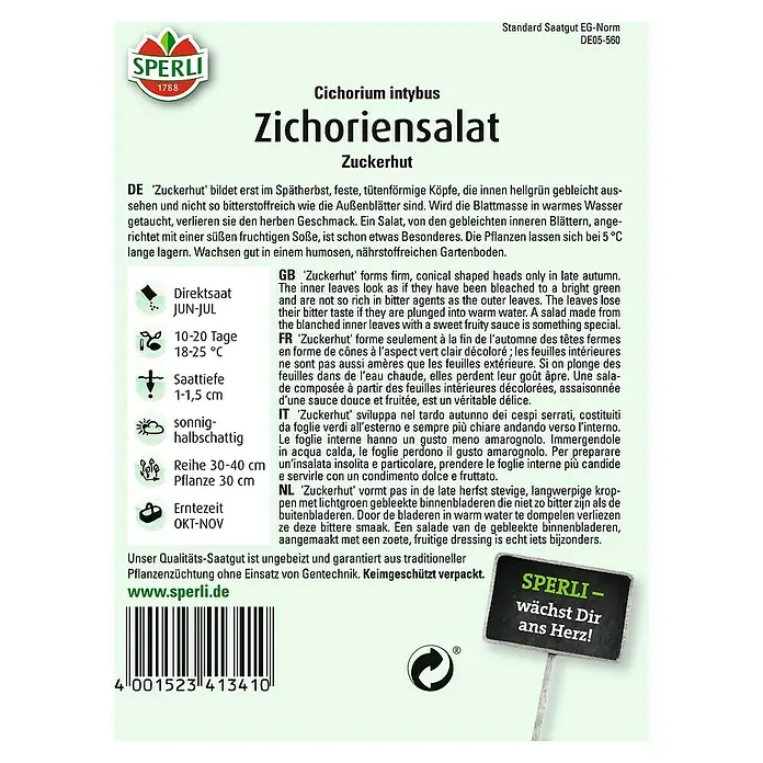Sperli Salatsamen Zichoriensalat Zuckerhut - Cichorium intybus, Erntezeit: Oktober - Bild einer Samenpackung für 'Zuckerhut' (Cichorium intybus), einer Salatsorte, bekannt für ihre milden, gebleichten Blätter.