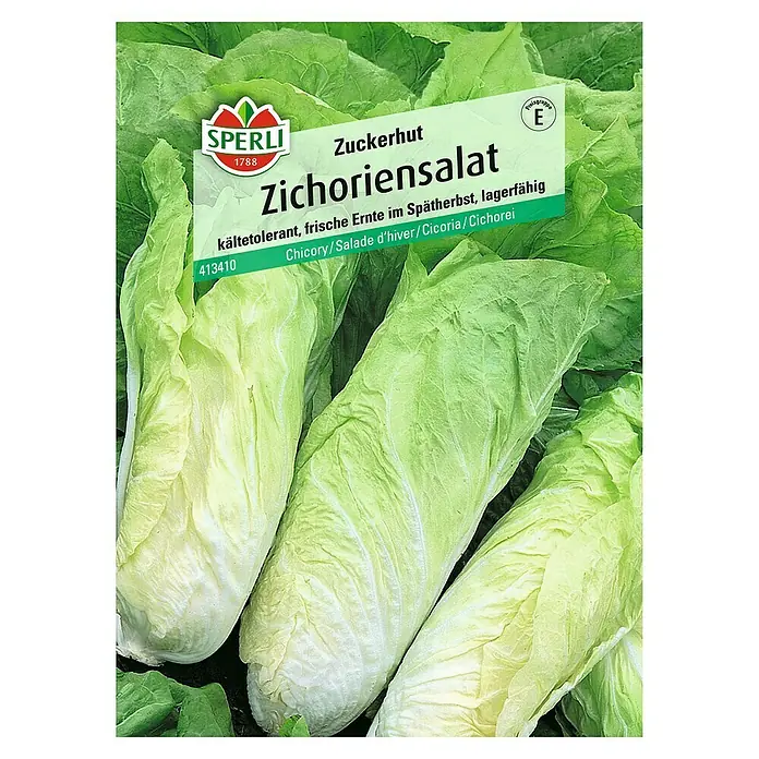 Sperli Salatsamen Zichoriensalat Zuckerhut - Cichorium intybus, Erntezeit: Oktober - Bild einer Saatguttüte von Zuckerhut-Zichoriensalat der Marke Sperli mit hellgrünen, länglichen Salatkopf-Abbildungen.
