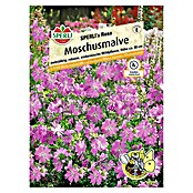 Sperli Blumensamen Moschusmalve (Malva moschata, Blütezeit: Juli) | BAUHAUS