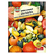 ZIERKUERBIS         ERNTEDANK MISCHUNG