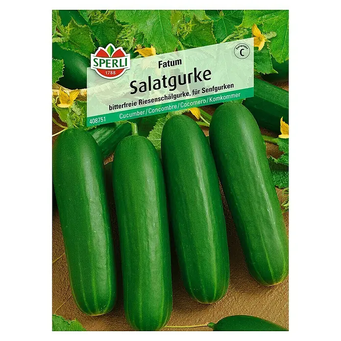 Sperli Gemüsesamen Salatgurke - Fatum, Cucumis sativus, Erntezeit: Juli - Abbildung der Samenpackung 'Salatgurke Fatum' von Sperli, einer bitterfreien, grossen Schälgurke, ideal für Senfgurken.
