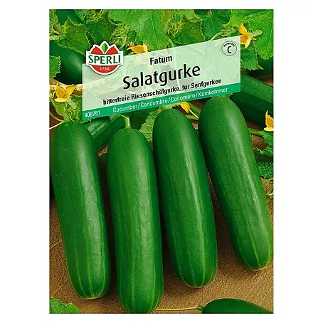 Sperli  Gemüsesamen Salatgurke